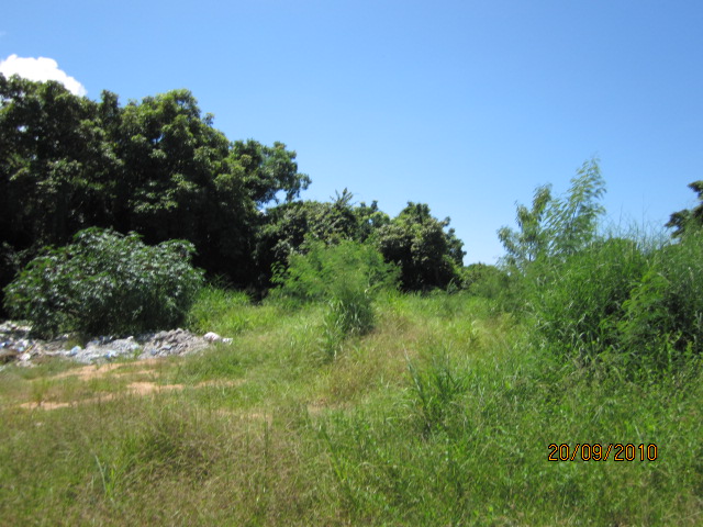 studio land for sale in  