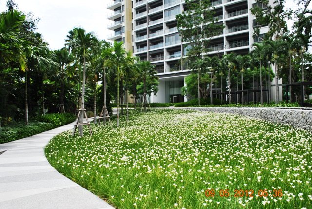 North Point: 2 Bedrooms Condo for sale in Naklua/Wong Amat ฿15,400,000