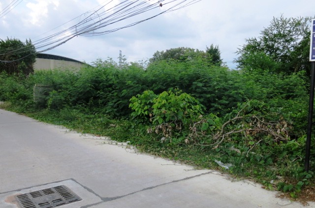  land for sale in  